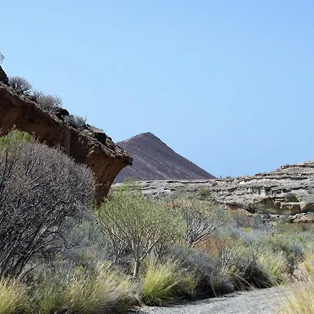 Vakantiehuis El Medano La Gaviota *