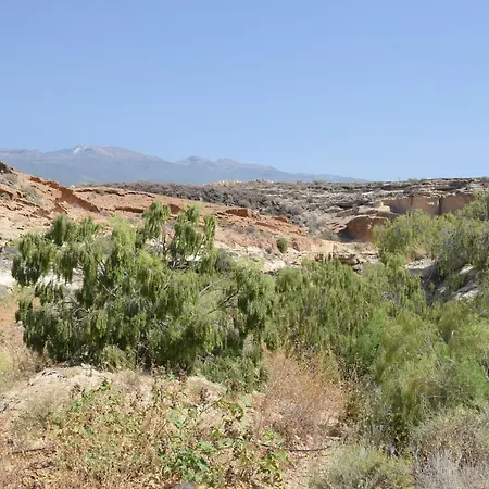 El Medano La Gaviota